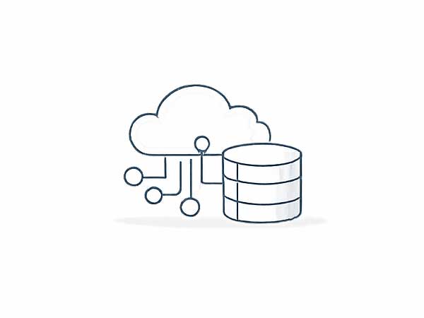 API Integration & Data Management