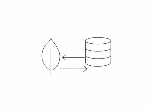 Custom MongoDB Database Development