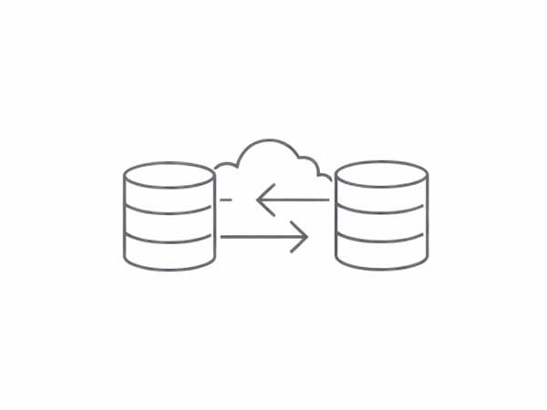 Data Migration & Backup Strategy