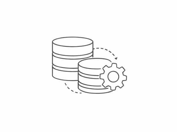 Database & Backend Data Connectivity
