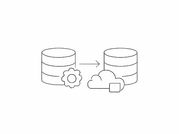 Database & System Migration Execution