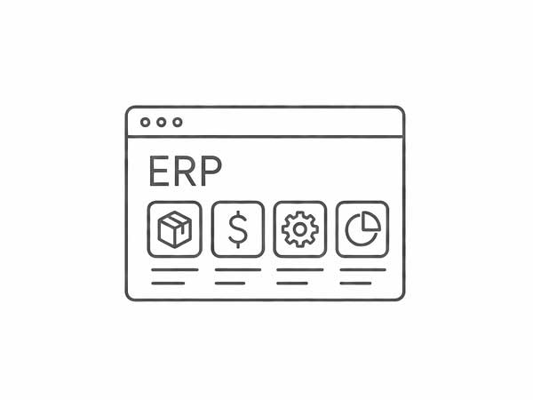 ERP System Development