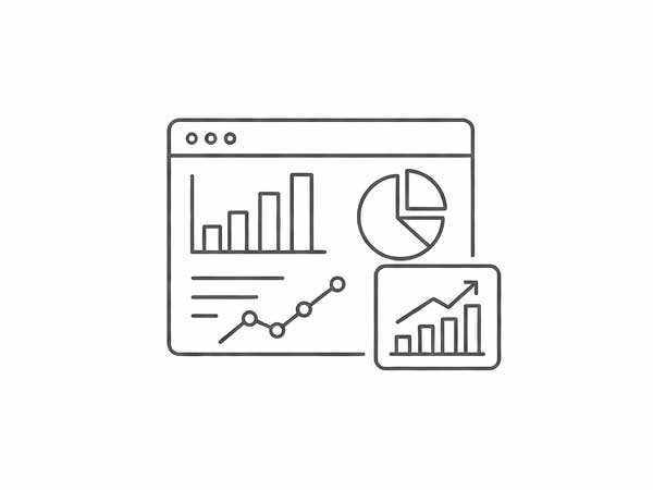 Reporting & Analytics Systems