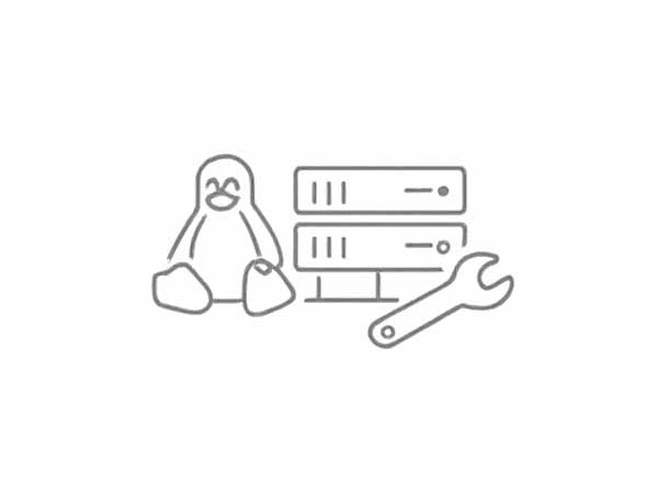 Server Setup (Linux) & Hosting Configuration
